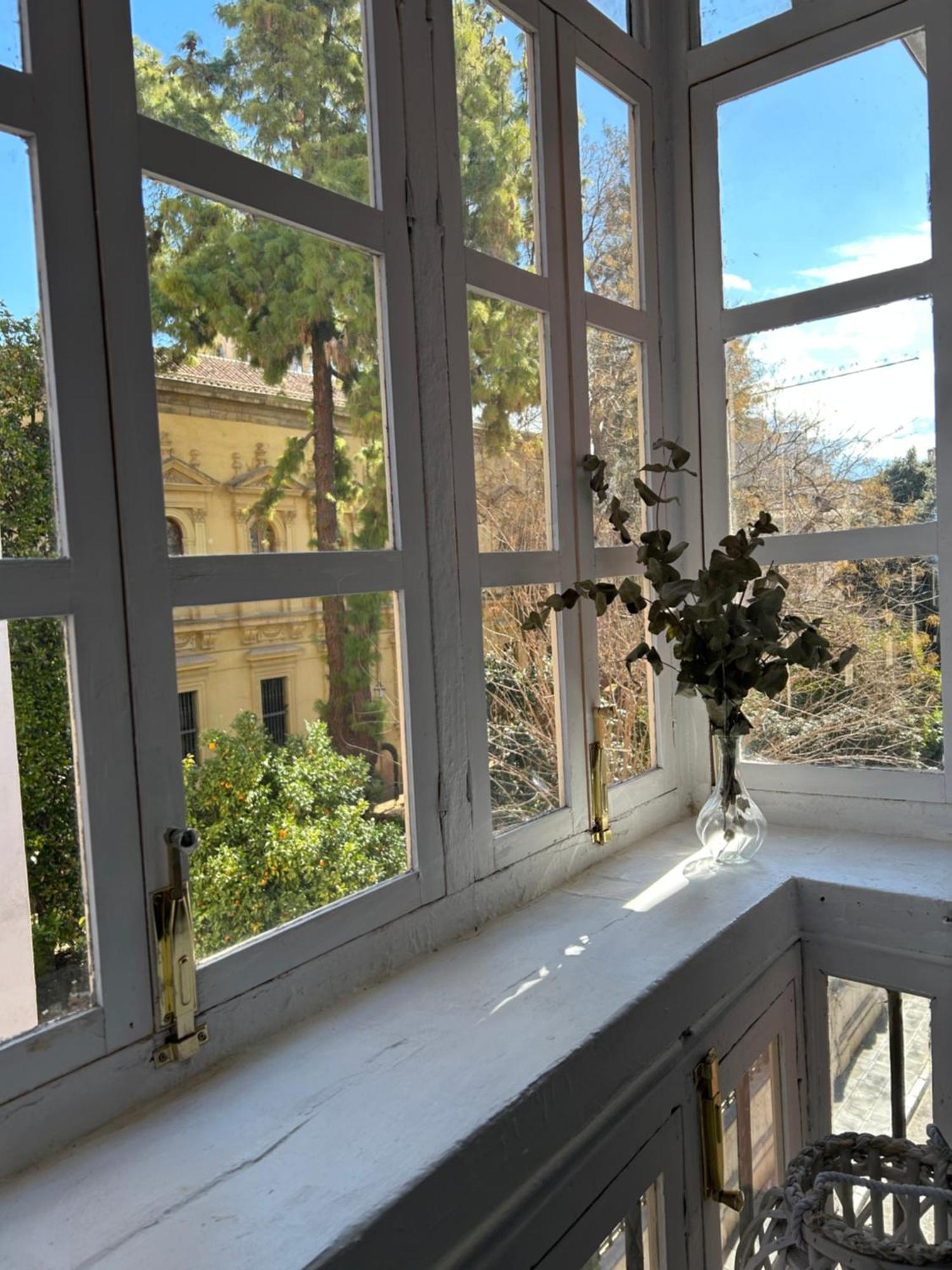 Apartamento Jardin Botanico 格拉纳达 外观 照片